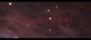 公金毛要不要绝育