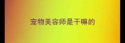 宠物美容师是干嘛的