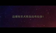 边境牧羊犬欺负拉布拉多