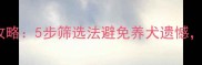 金毛幼犬选购全攻略5步筛选法避免养犬遗憾附健康检查清单