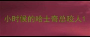 小时候的哈士奇总咬人