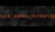 银狐犬花色毛发全品种特征养护指南与选购避坑指南