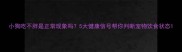 小狗吃不胖是正常现象吗5大健康信号帮你判断宠物饮食状态