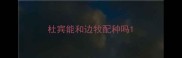 杜宾能和边牧配种吗