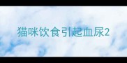 猫咪饮食引起血尿