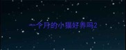 一个月的小猫好养吗