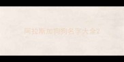 阿拉斯加狗狗名字大全