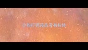 小狗打完疫苗没有抗体