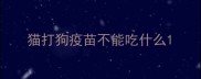 猫打狗疫苗不能吃什么