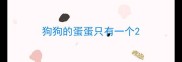 狗狗的蛋蛋只有一个
