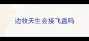 边牧天生会接飞盘吗