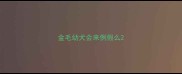 金毛幼犬会来例假么
