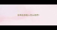 拉布拉多咬人怎么惩罚