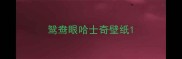 鸳鸯眼哈士奇壁纸