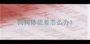 狗狗体质差怎么办