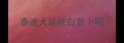 泰迪犬能吃白萝卜吗