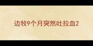 边牧9个月突然吐拉血