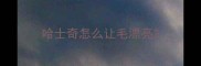 哈士奇怎么让毛漂亮