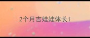 2个月吉娃娃体长