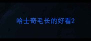 哈士奇毛长的好看