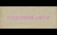 打完疫苗狗狗晚上睡不好
