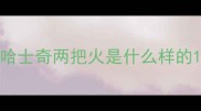 哈士奇两把火是什么样的