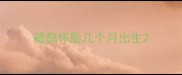 藏獒怀胎几个月出生