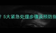 狗狗误食蘑菇后出现这些症状5大紧急处理步骤及预防指南附中毒类型与急救方案