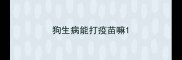 狗生病能打疫苗嘛