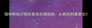 猫咪喉咙沙哑的紧急处理指南从病因到康复全