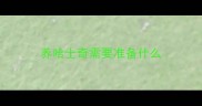 养哈士奇需要准备什么