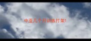 中亚几个月训练打架