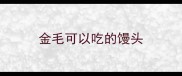 金毛可以吃的馒头