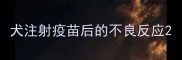 犬注射疫苗后的不良反应