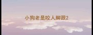 小狗老是咬人脚跟