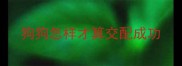 狗狗怎样才算交配成功