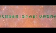 拉布拉多饮食禁忌及健康食谱新手必看这样喂狗子少生病更长寿