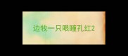 边牧一只眼瞳孔红