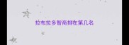 拉布拉多智商排在第几名