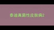 泰迪真菌性皮肤病