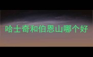 哈士奇和伯恩山哪个好