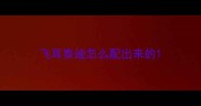 飞耳泰迪怎么配出来的