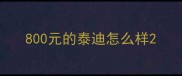 800元的泰迪怎么样