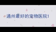 通州最好的宠物医院