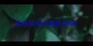 拉布拉多犬是短毛吗