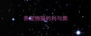 养宠物猫的利与弊