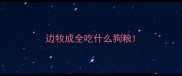 边牧成全吃什么狗粮