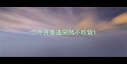 二个月泰迪突然不吃饭