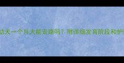 金毛幼犬一个月大能走路吗附详细发育阶段和护理指南