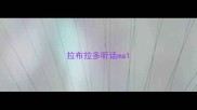 拉布拉多听话ma